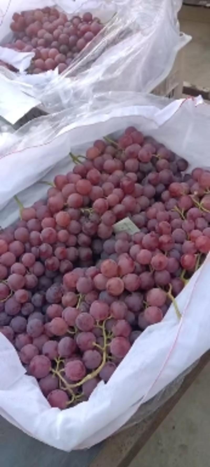 红提葡萄，货源充足，精品果，电商果，市场货，大量有货
