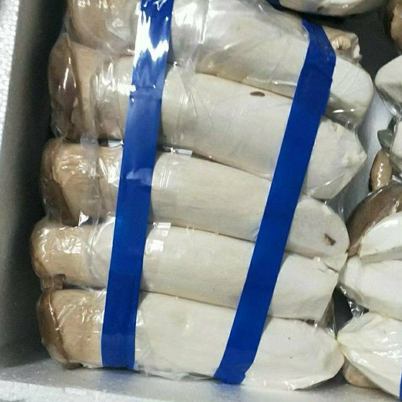【杏鲍菇】江苏精品杏鲍菇，基地现货直发量大从优品质保障