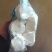 【杏鲍菇】江苏精品杏鲍菇，基地现货直发量大从优品质保障
