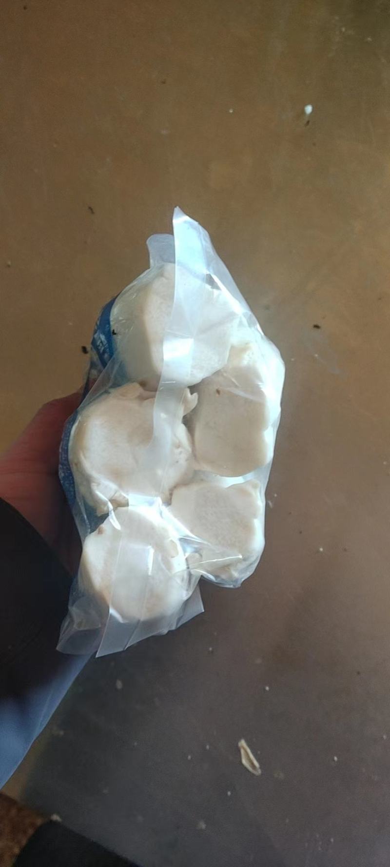 【杏鲍菇】江苏精品杏鲍菇，基地现货直发量大从优品质保障