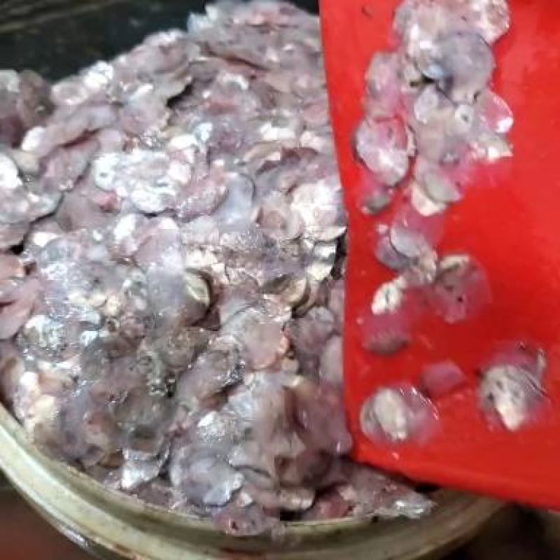 新鲜鲤鱼鱼鳞鱼鳞片熬胶原材料海参饲料全国冷链发货
