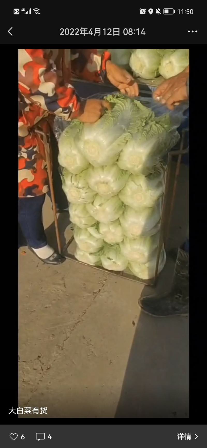 湖北荆州牛心包上市，大量有货，袋子装，需要的老板联系我