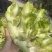 水果蔬菜