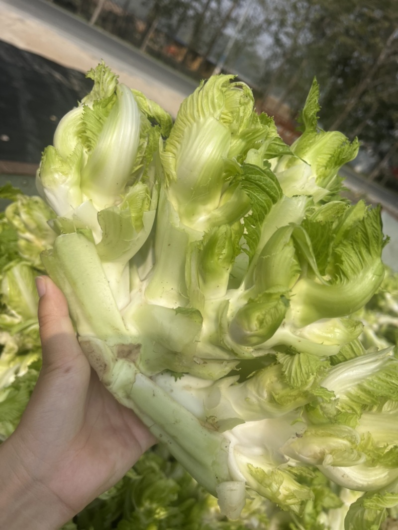 水果蔬菜