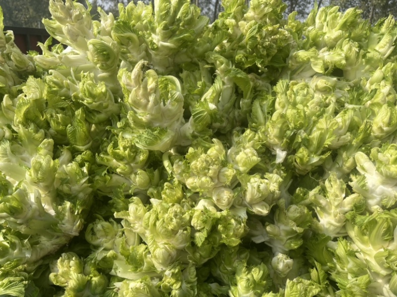 水果蔬菜