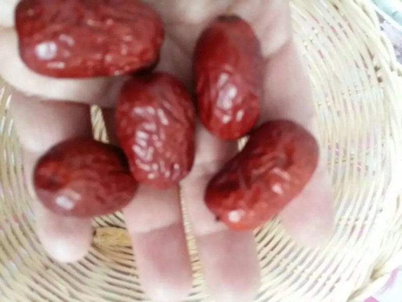 新疆灰枣皮薄肉厚肉紧核小产地直供农庄种