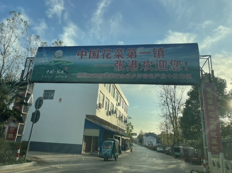 【热卖】花菜松花紧花全国直发菜价实时更新对接商超