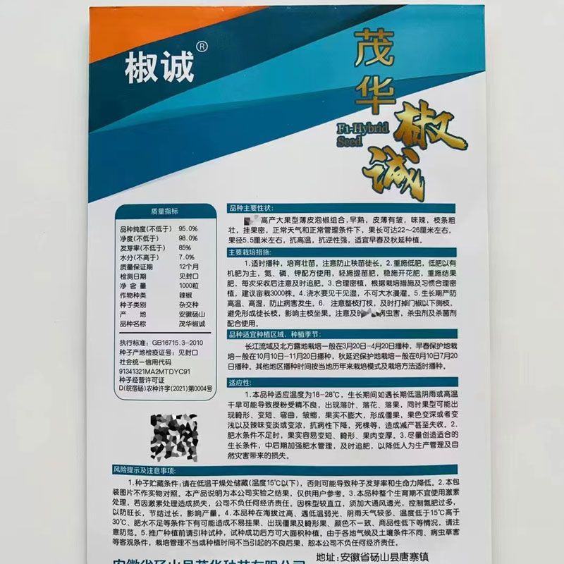 抗糊头薄皮椒种子茂华椒诚大果薄皮泡椒味辣辣椒种子