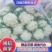 白面青梗松花菜货源充足价格美丽欢迎来电咨询