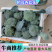 精品西蓝花大量上市货源充足诚信经营欢迎来电