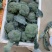 精品西蓝花大量上市货源充足诚信经营欢迎来电