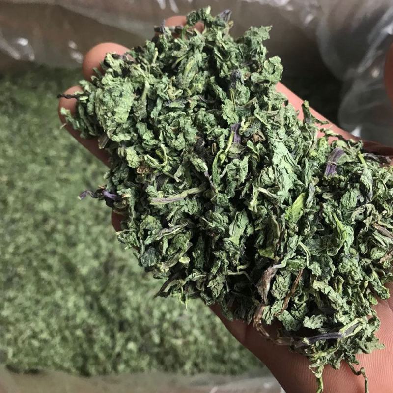 【无硫薄荷粒】无硫薄荷500克袋装当季新货多规格可选包邮