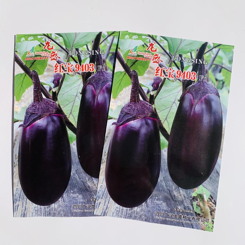 红宝9403早熟杂交一代茄子果肉淡种绿色果实灯泡型紫茄