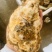 乳山蚝，精品乳山三倍体，乳山特大蚝，1斤单只