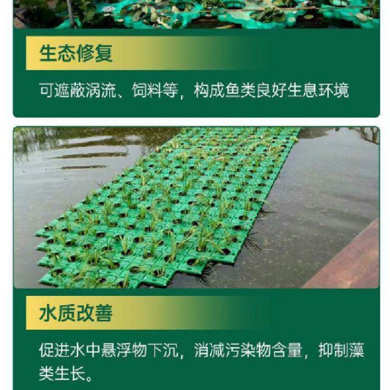 生态浮岛制作-浮床水生植物种植净化水质包施工可签订合同