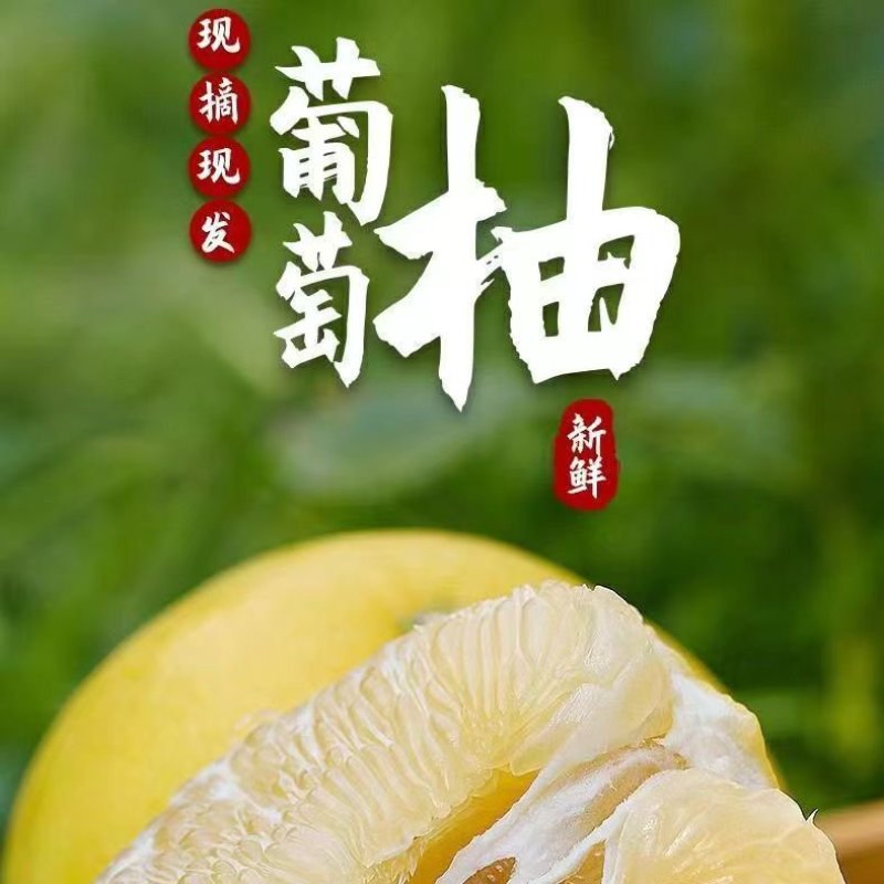 福建【葡萄柚】一件代发/电商/微商/直播平台