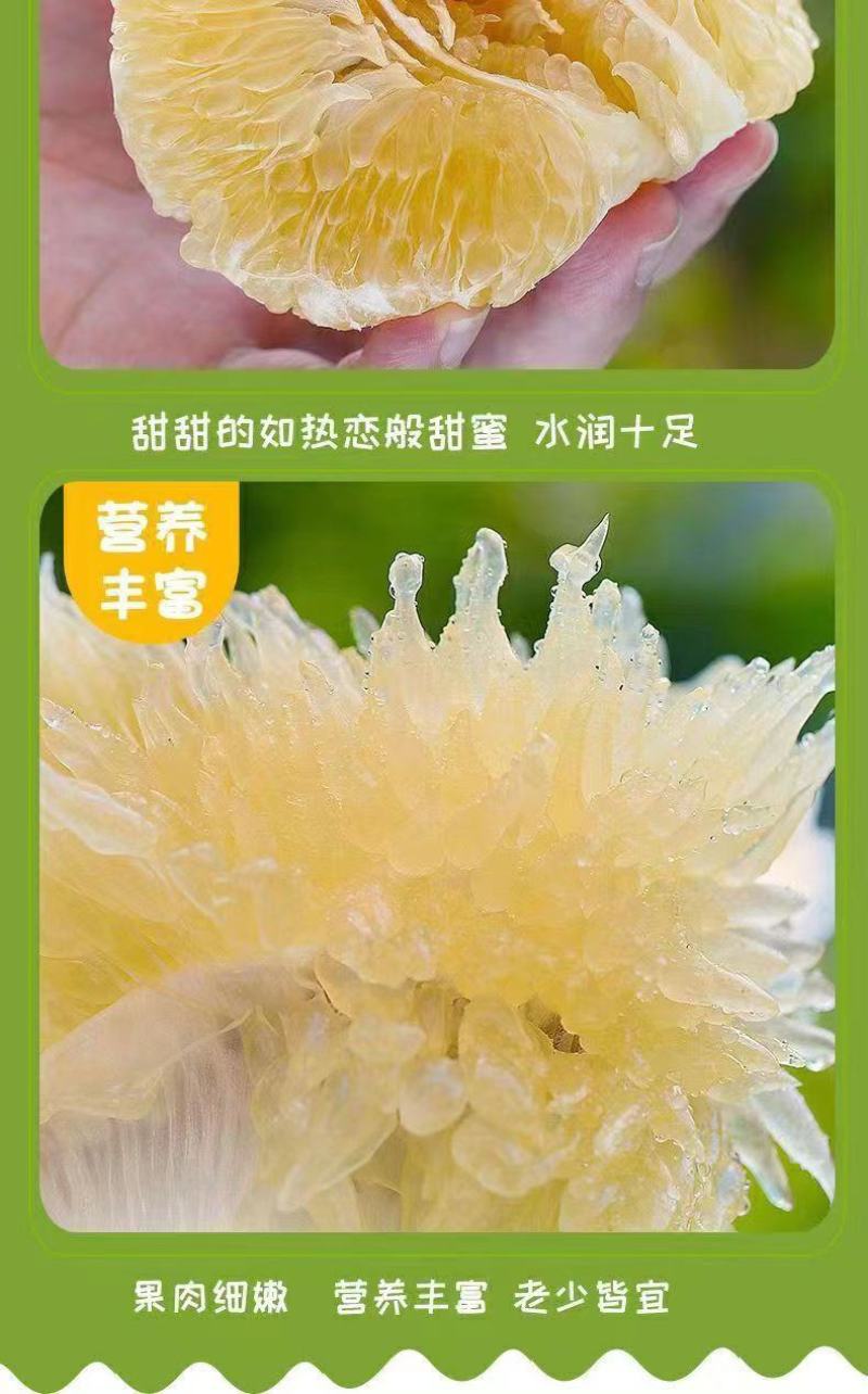 福建【葡萄柚】一件代发/电商/微商/直播平台