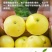 福建【葡萄柚】一件代发/电商/微商/直播平台