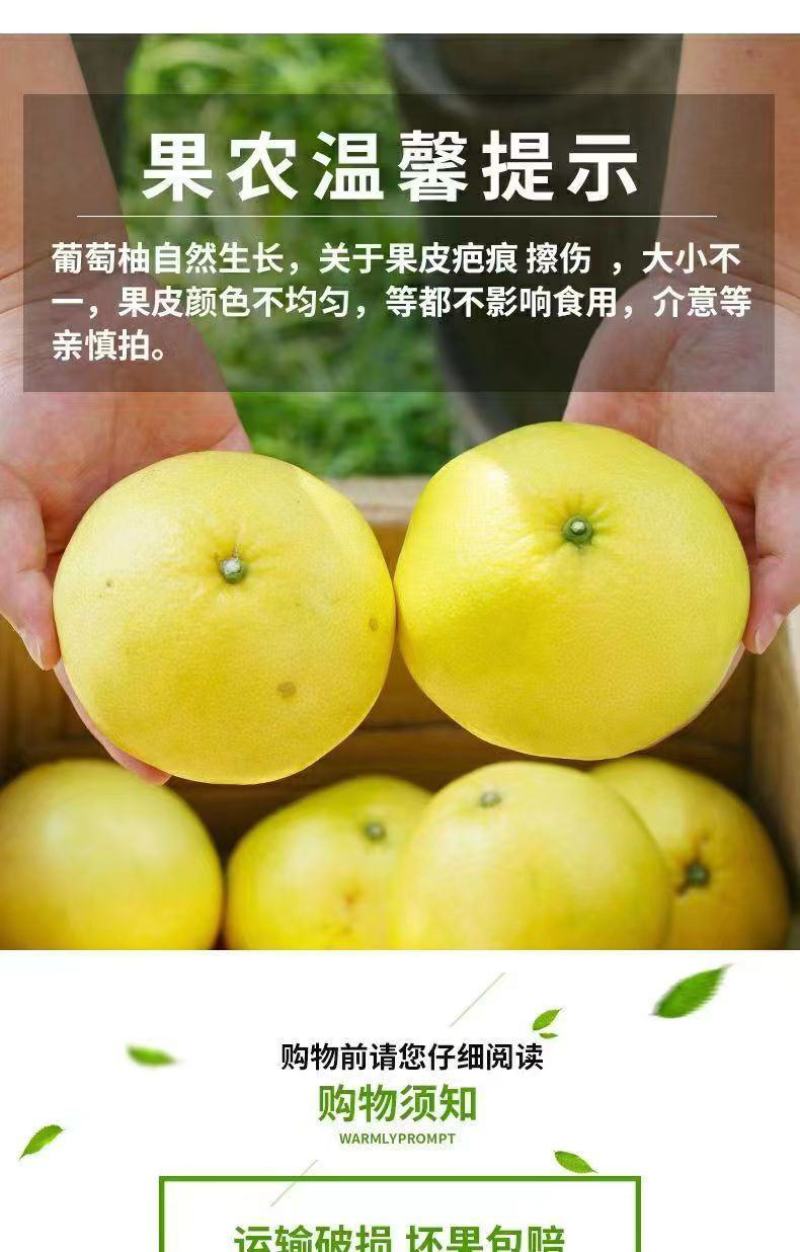 福建【葡萄柚】一件代发/电商/微商/直播平台