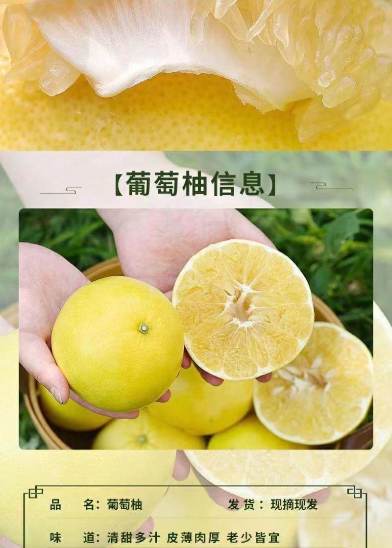 福建【葡萄柚】一件代发/电商/微商/直播平台