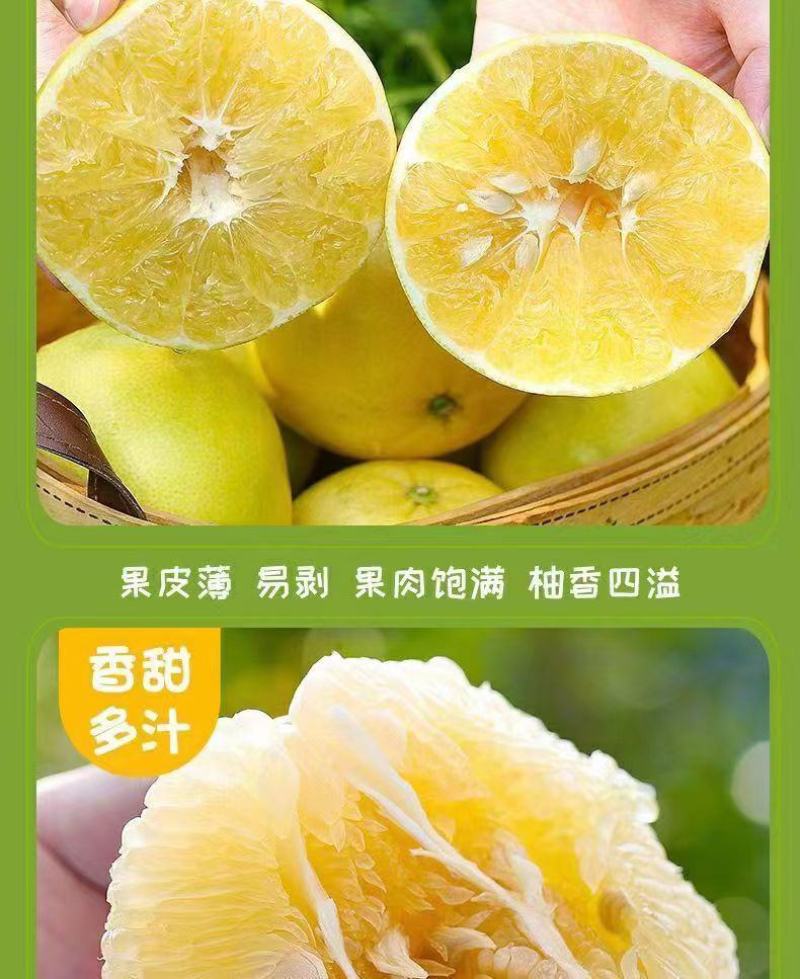 福建【葡萄柚】一件代发/电商/微商/直播平台
