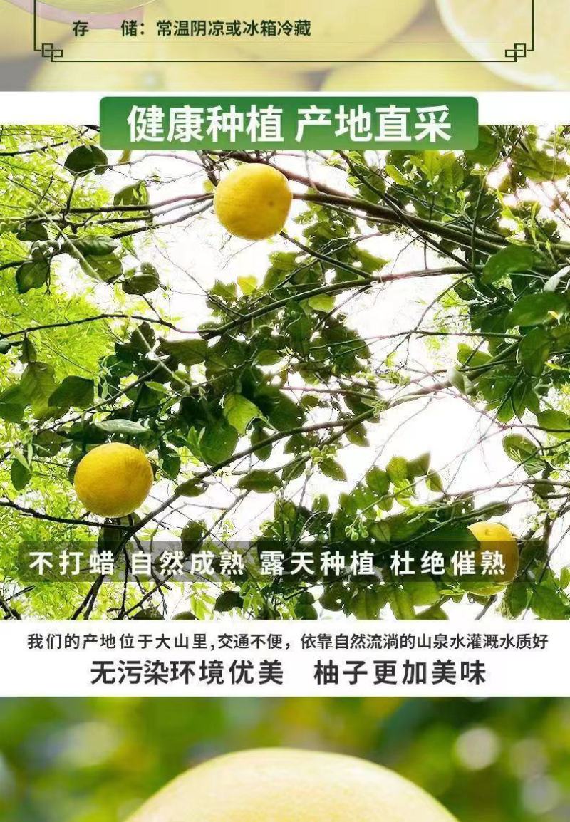 福建【葡萄柚】一件代发/电商/微商/直播平台