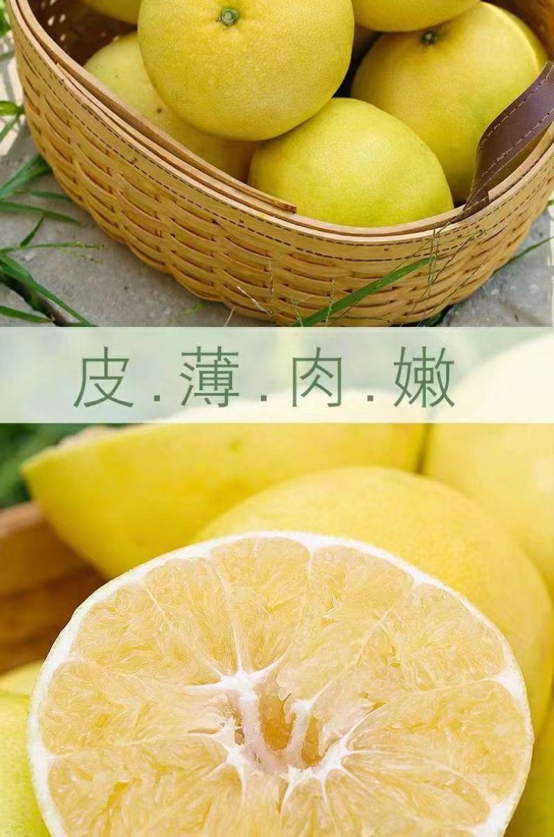 福建【葡萄柚】一件代发/电商/微商/直播平台