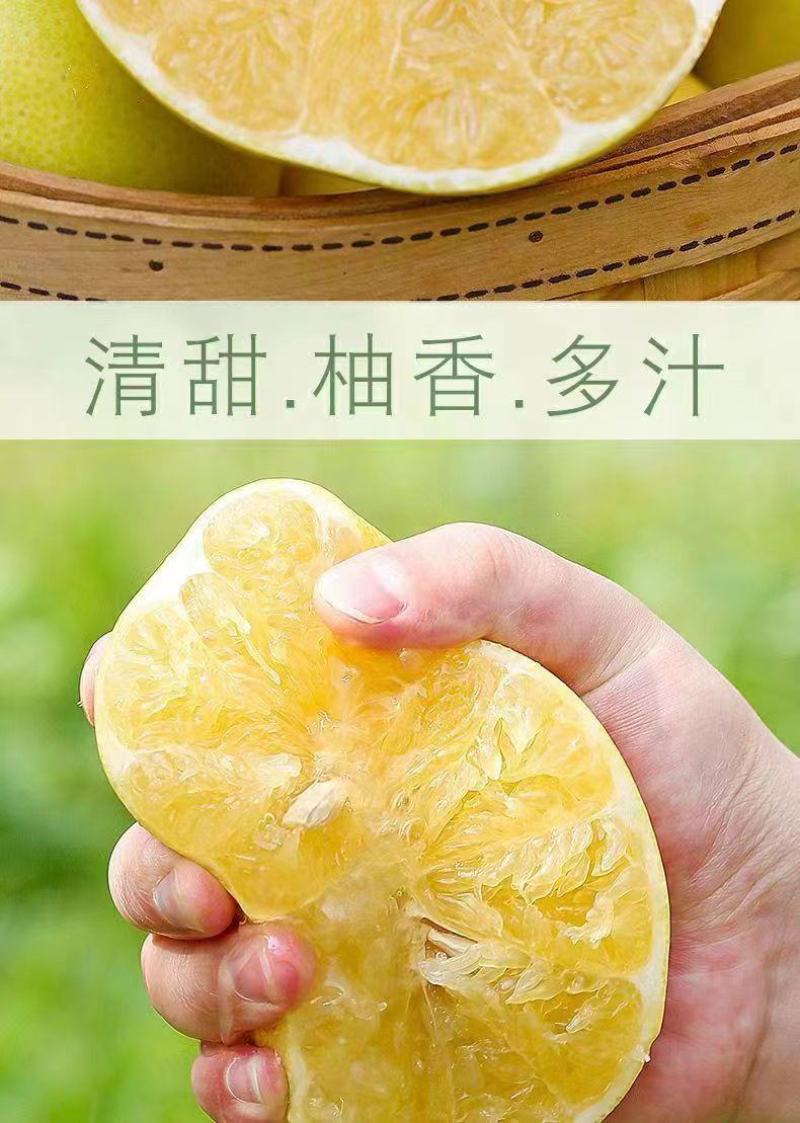 福建【葡萄柚】一件代发/电商/微商/直播平台