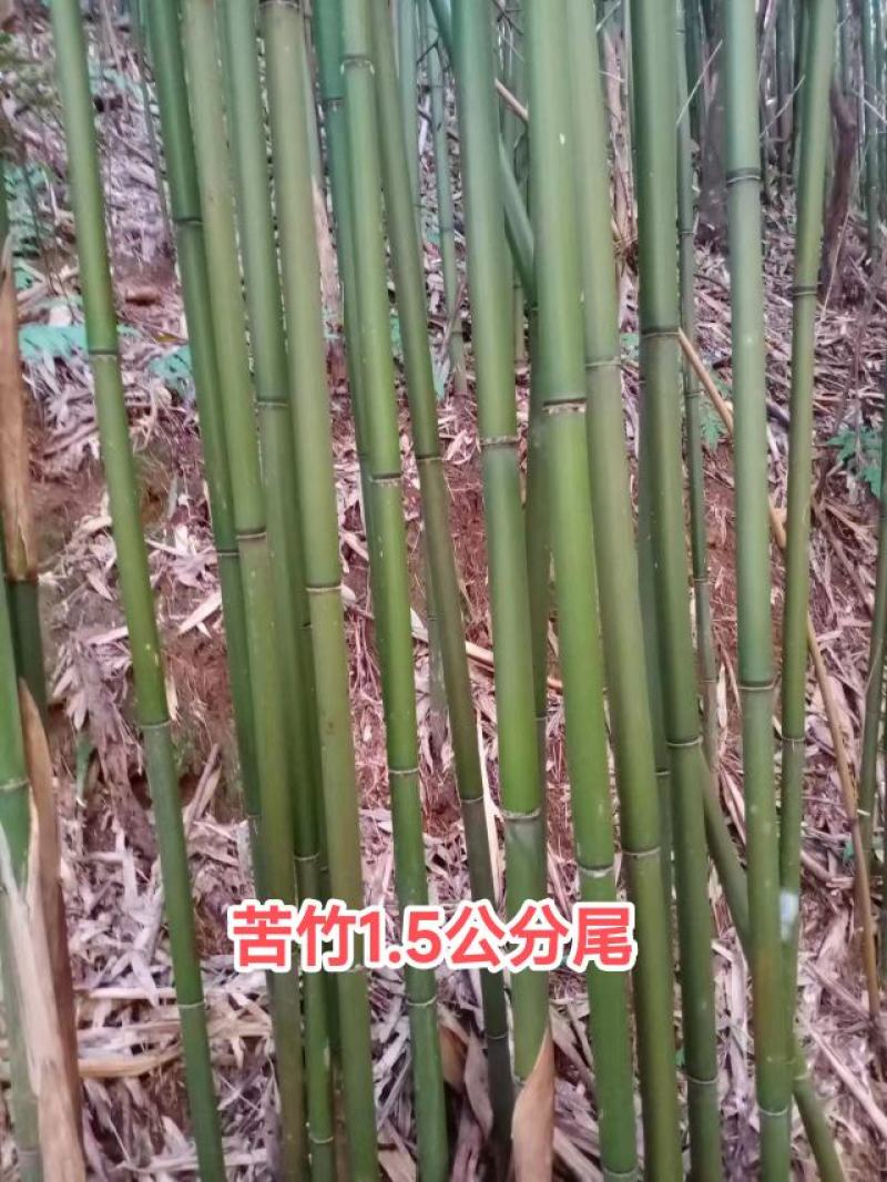 果撑搭棚竹竿竹架豆角西红柿冬瓜竹