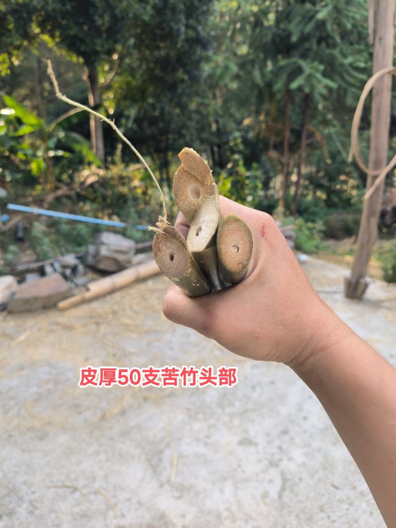 果撑搭棚竹竿竹架豆角西红柿冬瓜竹