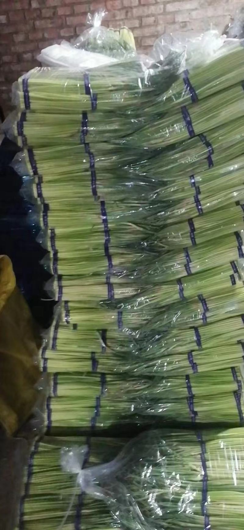 精品蒜苔