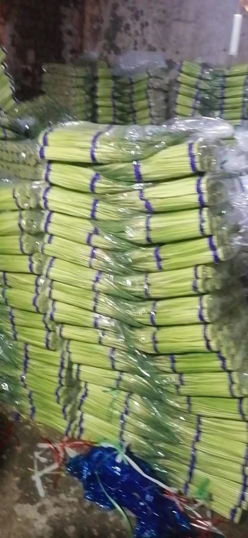精品蒜苔
