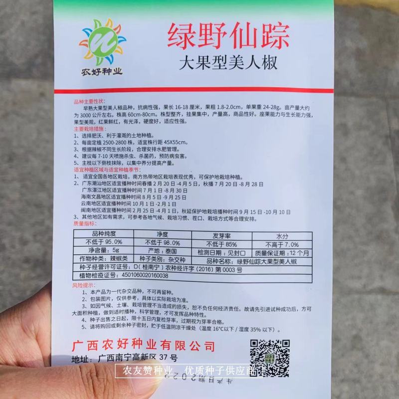 农好泰国进口美人椒种子大果早熟硬度好，红果鲜红中辣