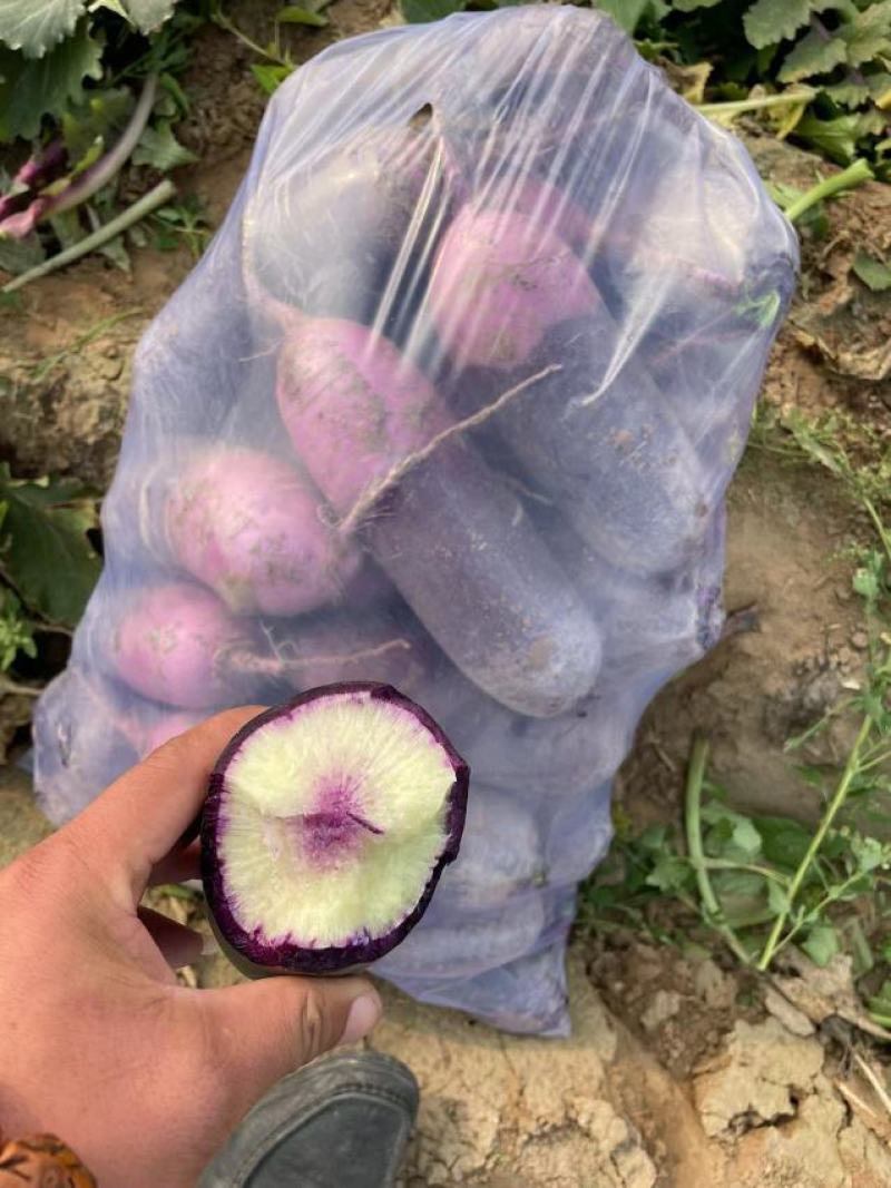 冰激凌萝卜，水果型的优质产品，产地货源，美味多汁口感脆甜