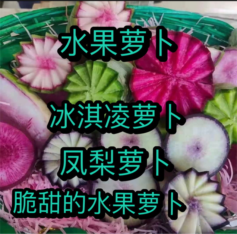 山东水果萝卜直发，货源充足质量保证，视频看货欢迎致电