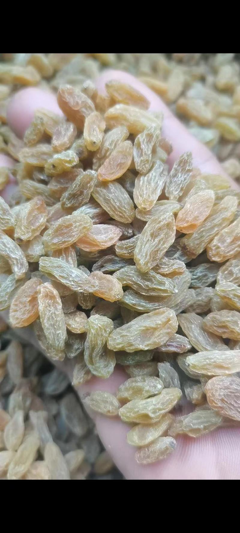 新疆特级葡萄干，非常绿，果肉丰厚饱满，自然晾晒，