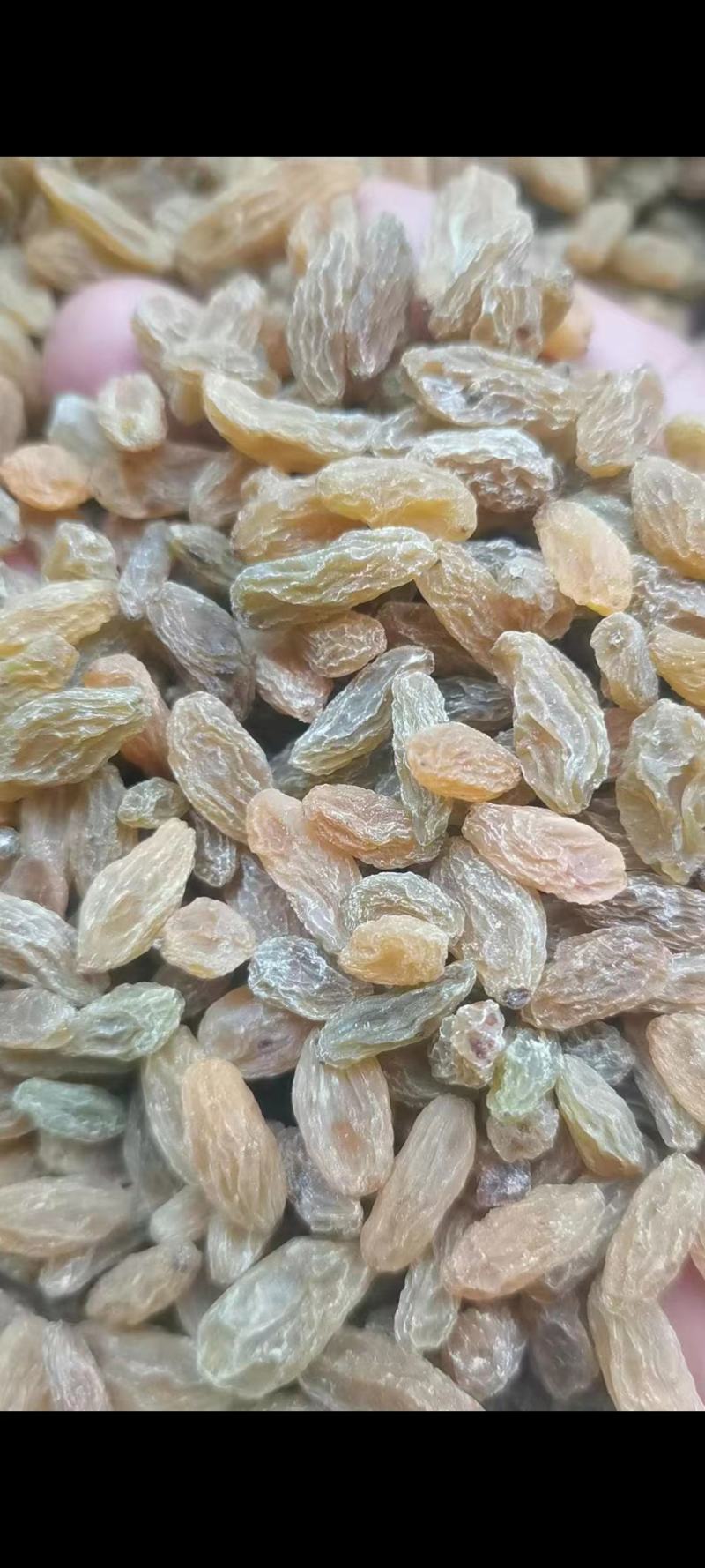 新疆特级葡萄干，非常绿，果肉丰厚饱满，自然晾晒，
