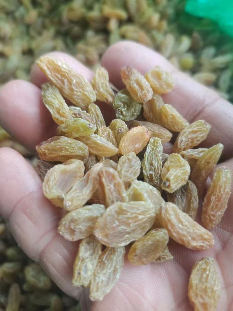新疆特级葡萄干，非常绿，果肉丰厚饱满，自然晾晒，