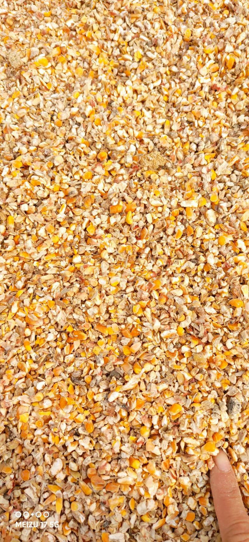 碎玉米过风净粮2022新粮鸡鸭鹅专用粮
