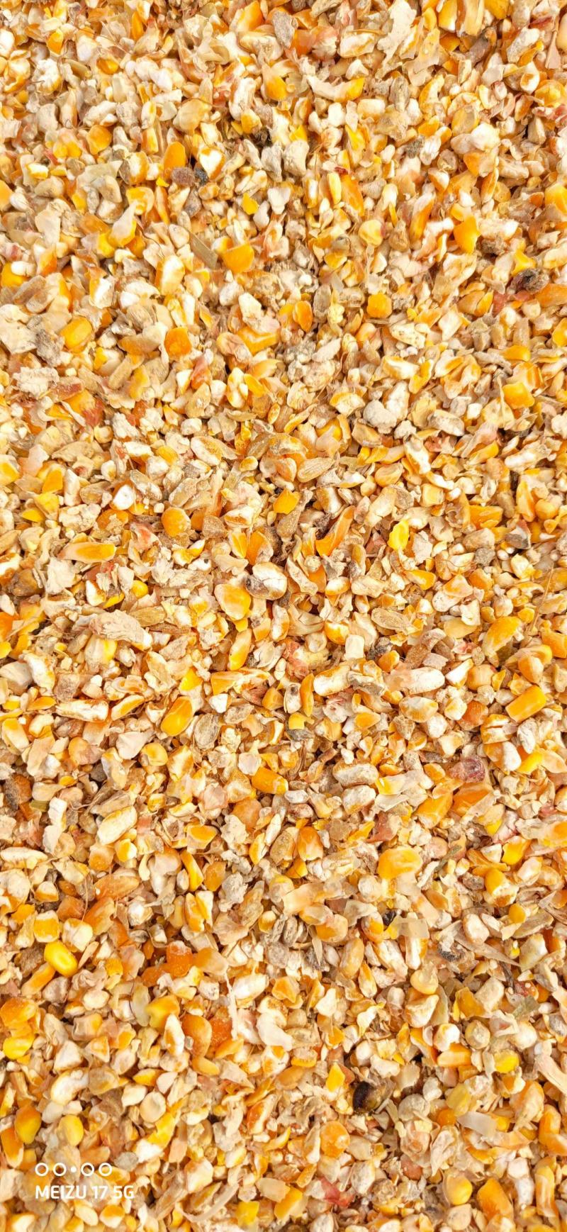 碎玉米过风净粮2022新粮鸡鸭鹅专用粮