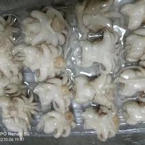 上海宝山江阳水产品鱿鱼-鱿鱼花品质保证，量大从优