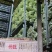 冬枣大量出冷库冬枣按口出