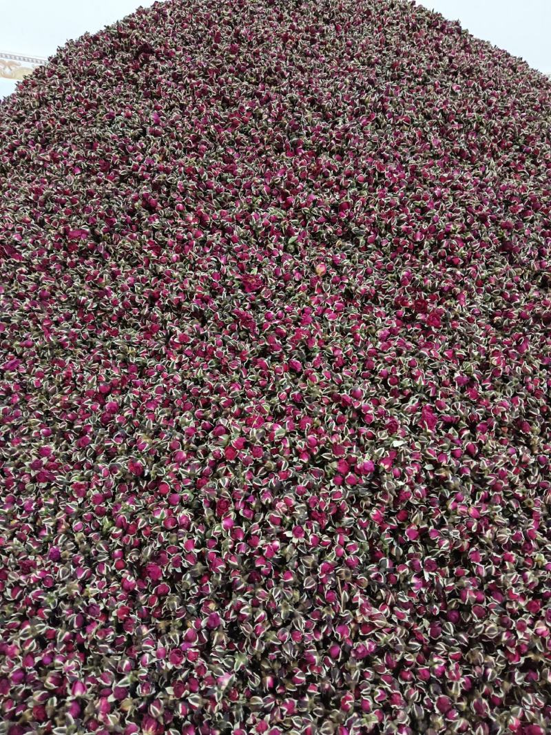 云南金边玫瑰花茶