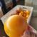 【火爆热销】脐橙产地大量供应鲜果采摘，口感甜，多汁化渣