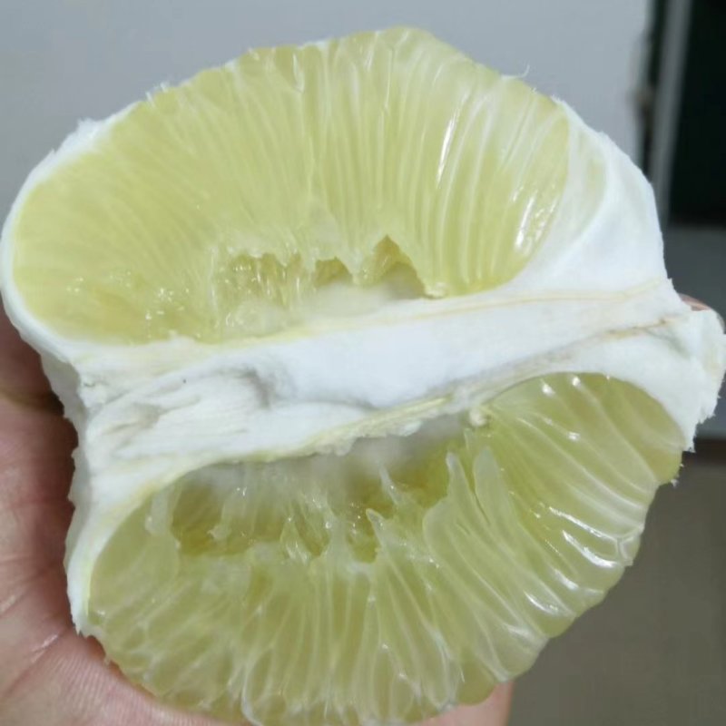 湖南麻麻柚冰糖柚30斤