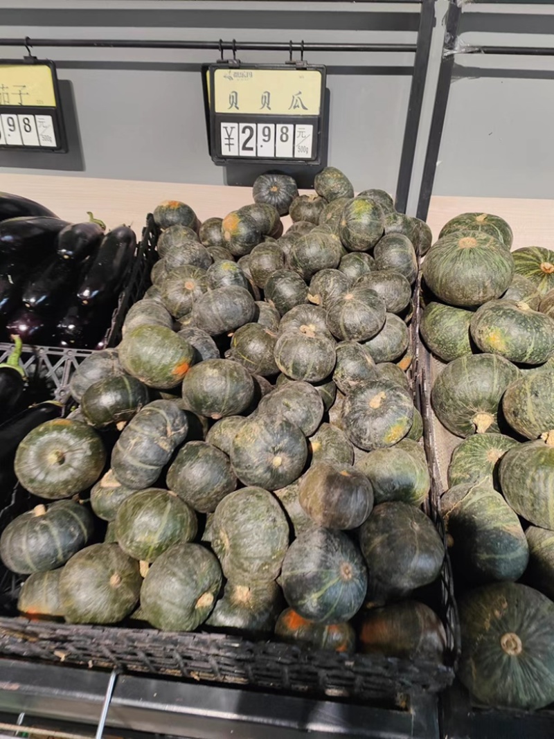 大量贝贝南瓜出售中，品种好价格实惠，可打款发货！
