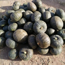 大量贝贝南瓜出售中，品种好价格实惠，可打款发货！