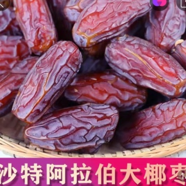 阿拉伯椰果大果粒阿联酋金丝黑椰枣