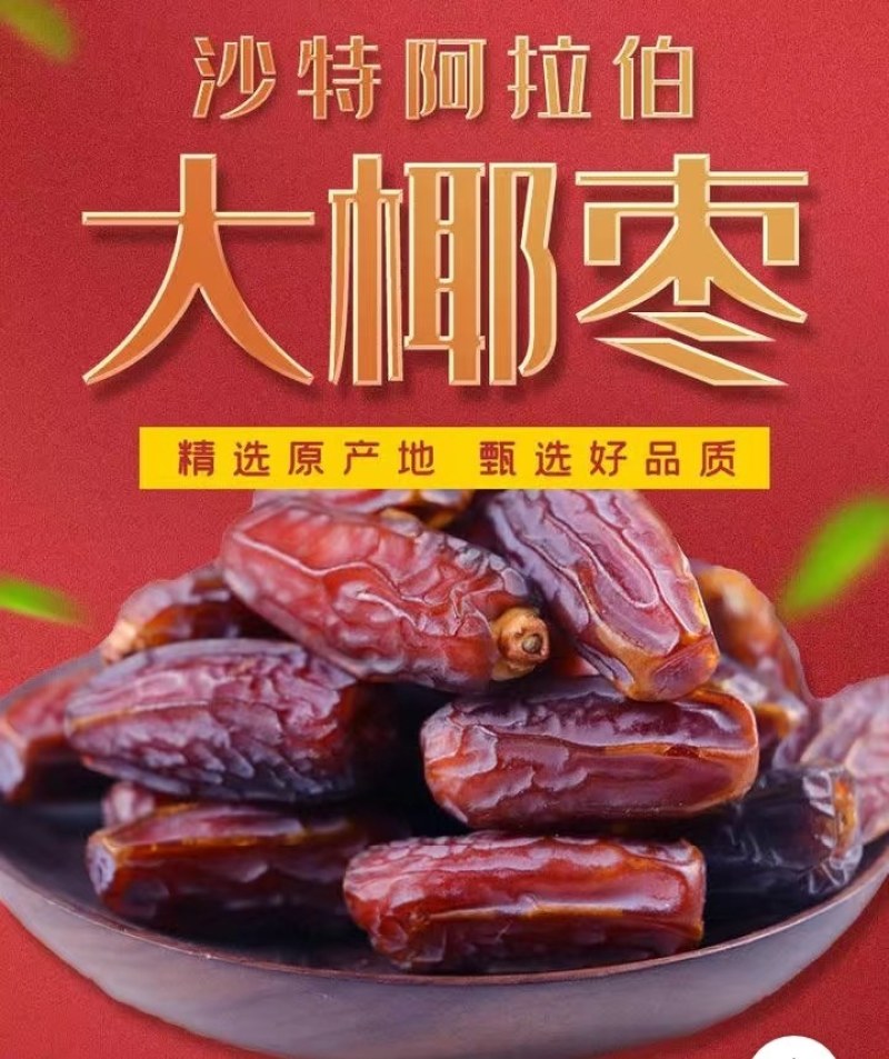 阿拉伯椰果大果粒阿联酋金丝黑椰枣