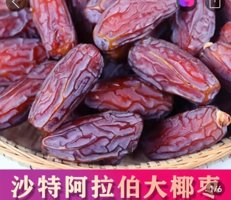 阿拉伯椰果大果粒阿联酋金丝黑椰枣
